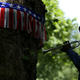Independence Day celebration (Jordan Masnfield/Getty Images)